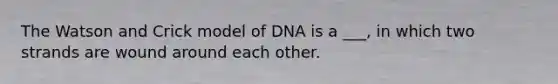 The Watson and Crick model of DNA is a ___, in which two strands are wound around each other.