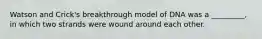 Watson and Crick's breakthrough model of DNA was a _________, in which two strands were wound around each other.