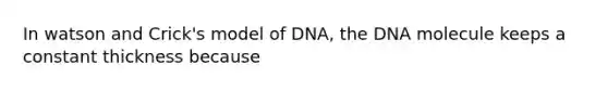 In watson and Crick's model of DNA, the DNA molecule keeps a constant thickness because