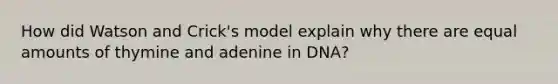 How did Watson and Crick's model explain why there are equal amounts of thymine and adenine in DNA?