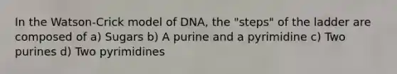 In the Watson-Crick model of DNA, the "steps" of the ladder are composed of a) Sugars b) A purine and a pyrimidine c) Two purines d) Two pyrimidines