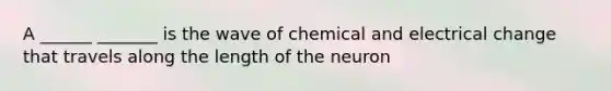 A ______ _______ is the wave of chemical and electrical change that travels along the length of the neuron