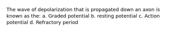 The wave of depolarization that is propagated down an axon is known as the: a. Graded potential b. resting potential c. Action potential d. Refractory period