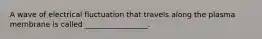 A wave of electrical fluctuation that travels along the plasma membrane is called _________________.