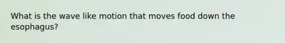 What is the wave like motion that moves food down the esophagus?