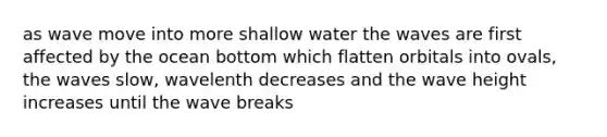 as wave move into more shallow water the waves are first affected by the ocean bottom which flatten orbitals into ovals, the waves slow, wavelenth decreases and the wave height increases until the wave breaks