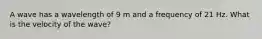 A wave has a wavelength of 9 m and a frequency of 21 Hz. What is the velocity of the wave?