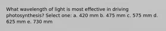 What wavelength of light is most effective in driving photosynthesis? Select one: a. 420 mm b. 475 mm c. 575 mm d. 625 mm e. 730 mm