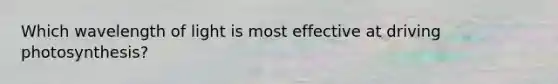 Which wavelength of light is most effective at driving photosynthesis?