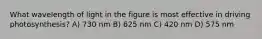 What wavelength of light in the figure is most effective in driving photosynthesis? A) 730 nm B) 625 nm C) 420 nm D) 575 nm