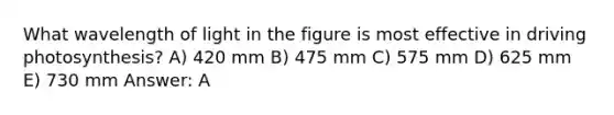 What wavelength of light in the figure is most effective in driving photosynthesis? A) 420 mm B) 475 mm C) 575 mm D) 625 mm E) 730 mm Answer: A