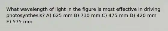 What wavelength of light in the figure is most effective in driving photosynthesis? A) 625 mm B) 730 mm C) 475 mm D) 420 mm E) 575 mm