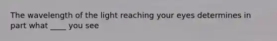 The wavelength of the light reaching your eyes determines in part what ____ you see