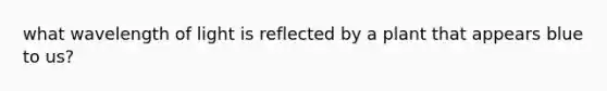 what wavelength of light is reflected by a plant that appears blue to us?