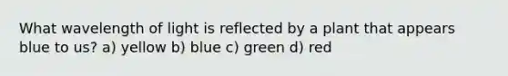 What wavelength of light is reflected by a plant that appears blue to us? a) yellow b) blue c) green d) red