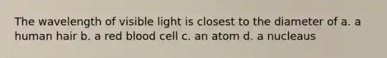 The wavelength of visible light is closest to the diameter of a. a human hair b. a red blood cell c. an atom d. a nucleaus