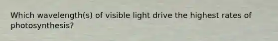 Which wavelength(s) of visible light drive the highest rates of photosynthesis?