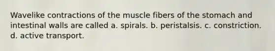 Wavelike contractions of the muscle fibers of the stomach and intestinal walls are called a. spirals. b. peristalsis. c. constriction. d. active transport.