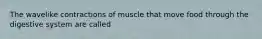 The wavelike contractions of muscle that move food through the digestive system are called