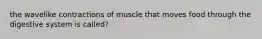 the wavelike contractions of muscle that moves food through the digestive system is called?