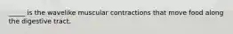 _____ is the wavelike muscular contractions that move food along the digestive tract.