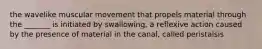 the wavelike muscular movement that propels material through the _______ is initiated by swallowing, a reflexive action caused by the presence of material in the canal, called peristalsis