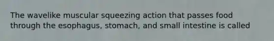 The wavelike muscular squeezing action that passes food through the esophagus, stomach, and small intestine is called