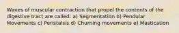 Waves of muscular contraction that propel the contents of the digestive tract are called: a) Segmentation b) Pendular Movements c) Peristalsis d) Churning movements e) Mastication