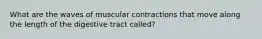 What are the waves of muscular contractions that move along the length of the digestive tract called?