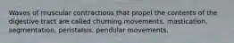 Waves of muscular contractions that propel the contents of the digestive tract are called churning movements. mastication. segmentation. peristalsis. pendular movements.