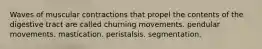 Waves of muscular contractions that propel the contents of the digestive tract are called churning movements. pendular movements. mastication. peristalsis. segmentation.