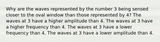 Why are the waves represented by the number 3 being sensed closer to the oval window than those represented by 4? The waves at 3 have a higher amplitude than 4. The waves at 3 have a higher frequency than 4. The waves at 3 have a lower frequency than 4. The waves at 3 have a lower amplitude than 4.