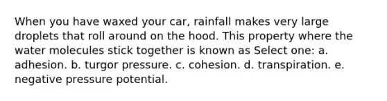 When you have waxed your car, rainfall makes very large droplets that roll around on the hood. This property where the water molecules stick together is known as Select one: a. adhesion. b. turgor pressure. c. cohesion. d. transpiration. e. negative pressure potential.