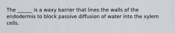 The ______ is a waxy barrier that lines the walls of the endodermis to block passive diffusion of water into the xylem cells.