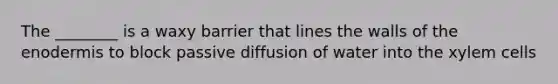 The ________ is a waxy barrier that lines the walls of the enodermis to block passive diffusion of water into the xylem cells