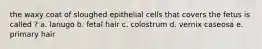 the waxy coat of sloughed epithelial cells that covers the fetus is called ? a. lanugo b. fetal hair c. colostrum d. vernix caseosa e. primary hair