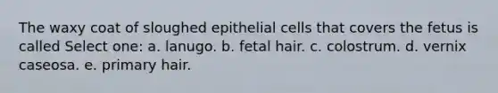 The waxy coat of sloughed epithelial cells that covers the fetus is called Select one: a. lanugo. b. fetal hair. c. colostrum. d. vernix caseosa. e. primary hair.