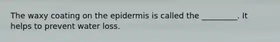 The waxy coating on the epidermis is called the _________. It helps to prevent water loss.