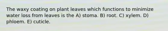 The waxy coating on plant leaves which functions to minimize water loss from leaves is the A) stoma. B) root. C) xylem. D) phloem. E) cuticle.