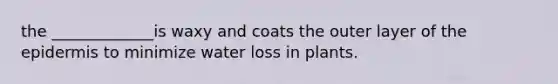 the _____________is waxy and coats the outer layer of the epidermis to minimize water loss in plants.