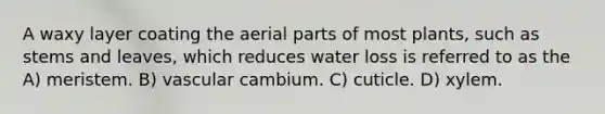 A waxy layer coating the aerial parts of most plants, such as stems and leaves, which reduces water loss is referred to as the A) meristem. B) vascular cambium. C) cuticle. D) xylem.