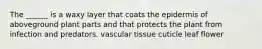 The ______ is a waxy layer that coats the epidermis of aboveground plant parts and that protects the plant from infection and predators. vascular tissue cuticle leaf flower