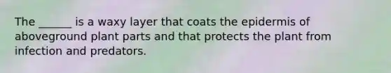 The ______ is a waxy layer that coats <a href='https://www.questionai.com/knowledge/kBFgQMpq6s-the-epidermis' class='anchor-knowledge'>the epidermis</a> of aboveground plant parts and that protects the plant from infection and predators.