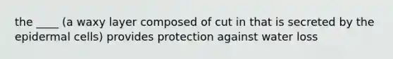 the ____ (a waxy layer composed of cut in that is secreted by the epidermal cells) provides protection against <a href='https://www.questionai.com/knowledge/kJrhWY0liz-water-loss' class='anchor-knowledge'>water loss</a>