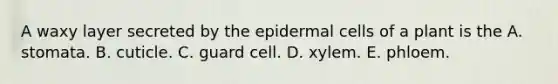 A waxy layer secreted by the epidermal cells of a plant is the A. stomata. B. cuticle. C. guard cell. D. xylem. E. phloem.