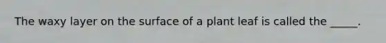 The waxy layer on the surface of a plant leaf is called the _____.