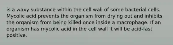 is a waxy substance within the cell wall of some bacterial cells. Mycolic acid prevents the organism from drying out and inhibits the organism from being killed once inside a macrophage. If an organism has mycolic acid in the cell wall it will be acid-fast positive.