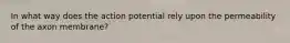 In what way does the action potential rely upon the permeability of the axon membrane?