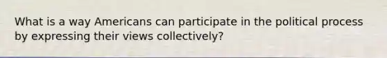 What is a way Americans can participate in the political process by expressing their views collectively?