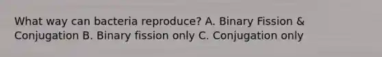 What way can bacteria reproduce? A. Binary Fission & Conjugation B. Binary fission only C. Conjugation only